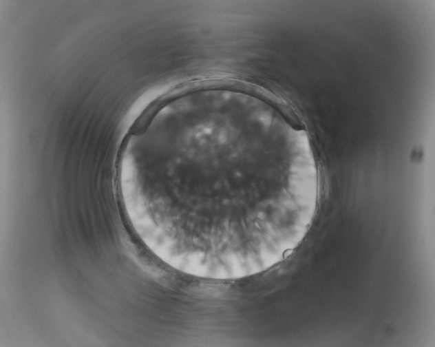 X0000113060147200910091152