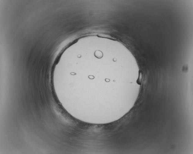 X0000113060148200910091152