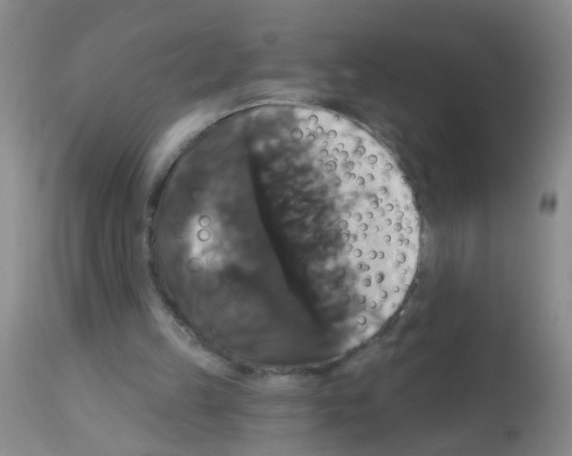 X0000113060149200910091152