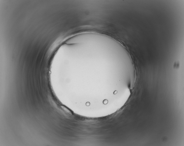 X0000113060150200910091152