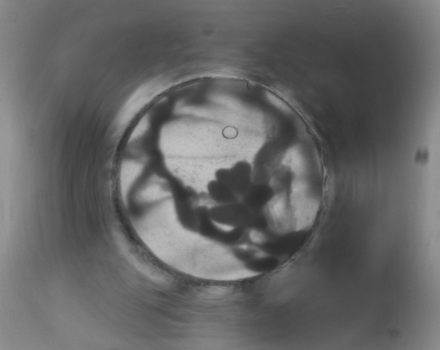 X0000113060151200910091152