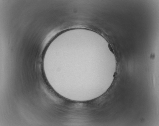 X0000113060152200910091152