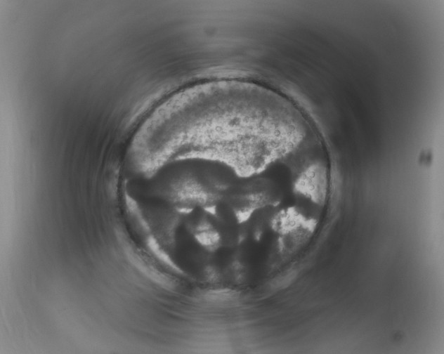 X0000113060153200910091152