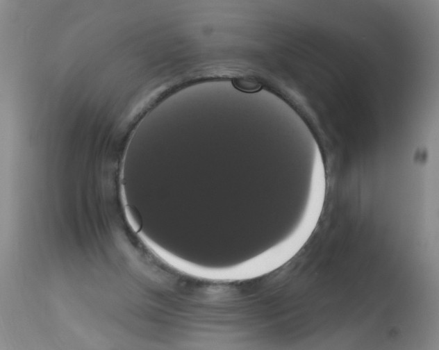 X0000113060154200910091152