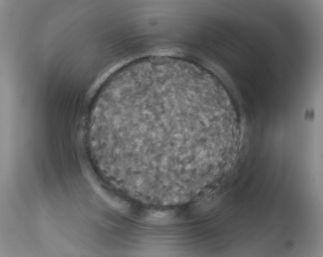 X0000113060155200910091152
