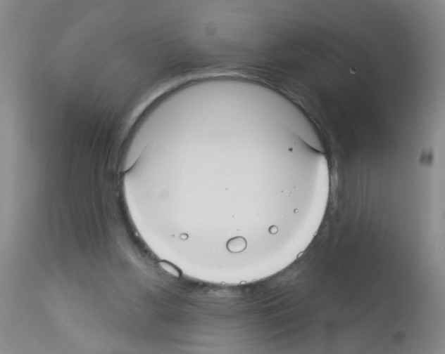 X0000113060156200910091152
