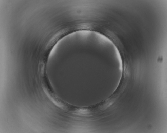 X0000113060157200910091152