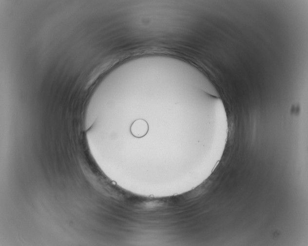 X0000113060158200910091152