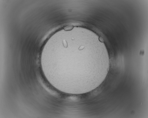 X0000113060159200910091152