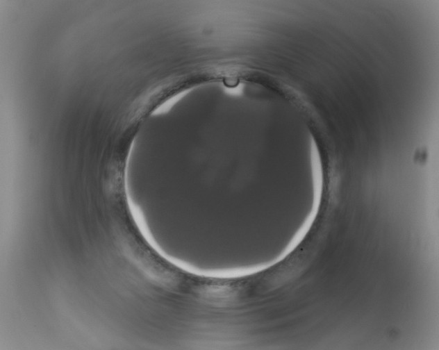 X0000113060161200910091152