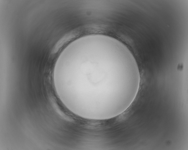 X0000113060162200910091152