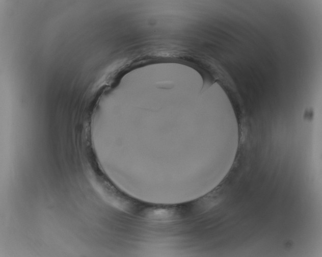 X0000113060163200910091152