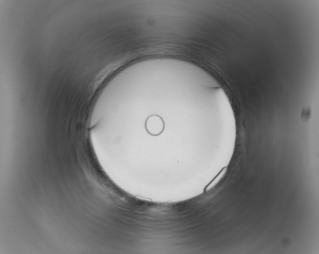 X0000113060164200910091152
