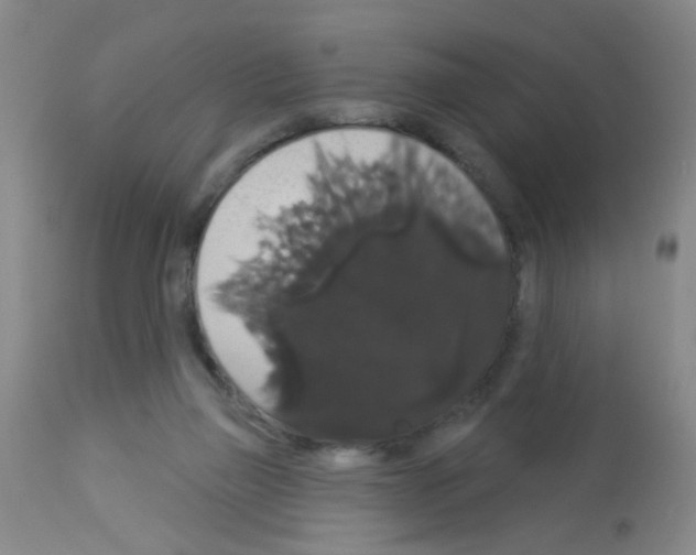 X0000113060165200910091152