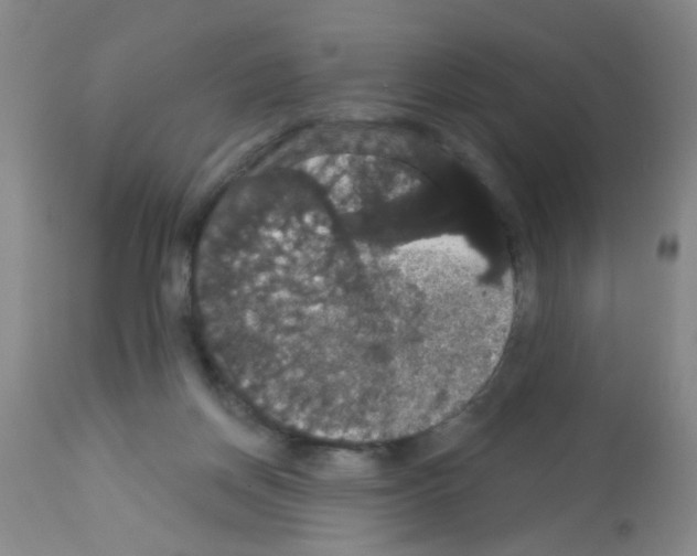 X0000113060166200910091152