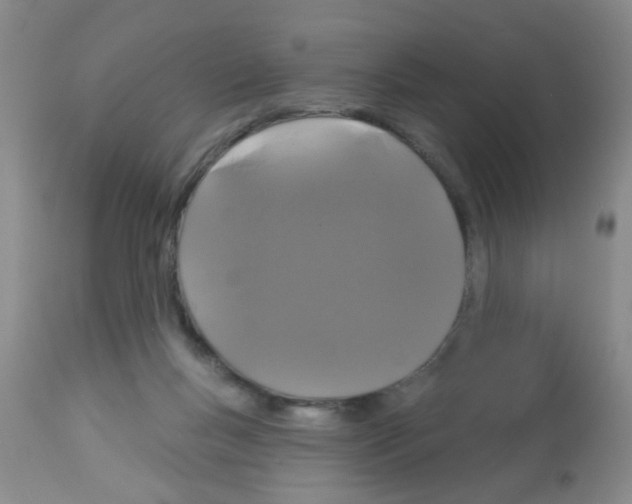 X0000113060167200910091152