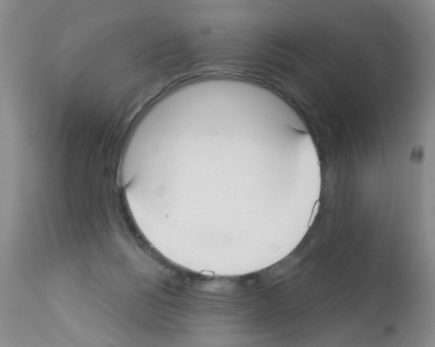X0000113060168200910091152