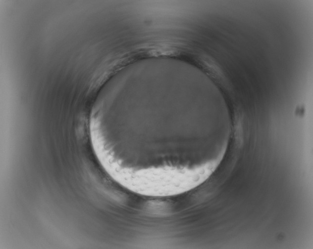 X0000113060169200910091152