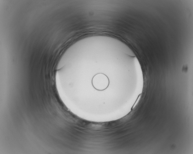 X0000113060170200910091152