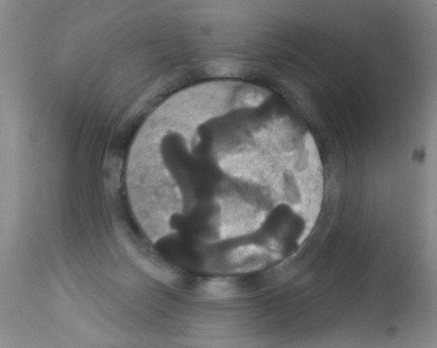 X0000113060171200910091152