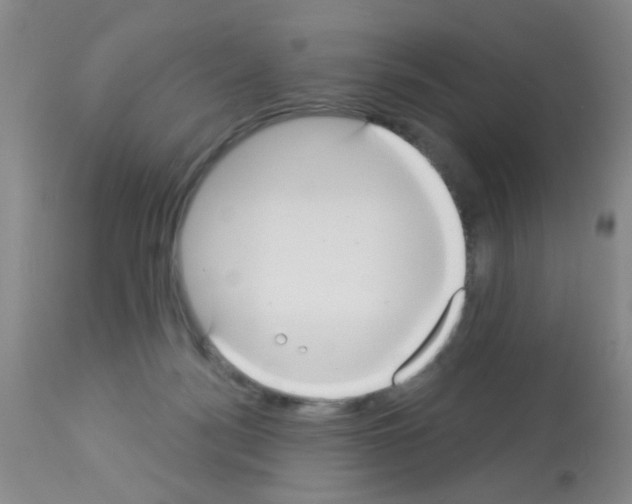 X0000113060172200910091152