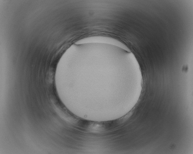 X0000113060174200910091152