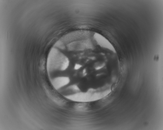 X0000113060175200910091152