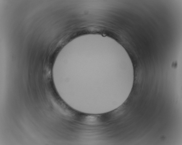 X0000113060176200910091152