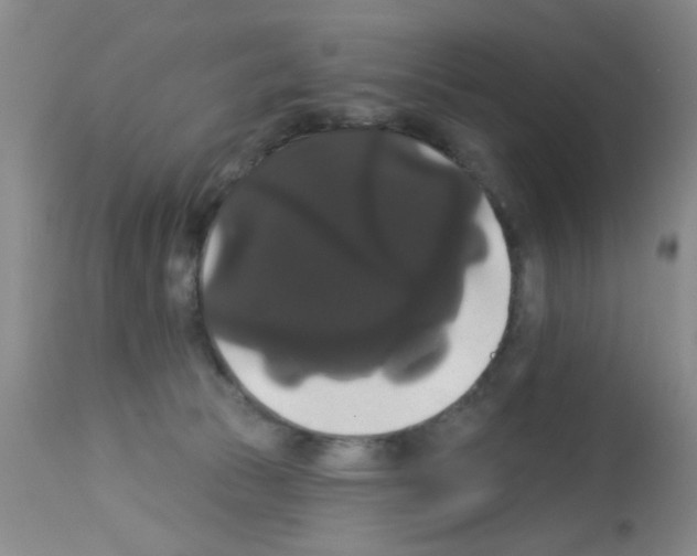 X0000113060177200910091152