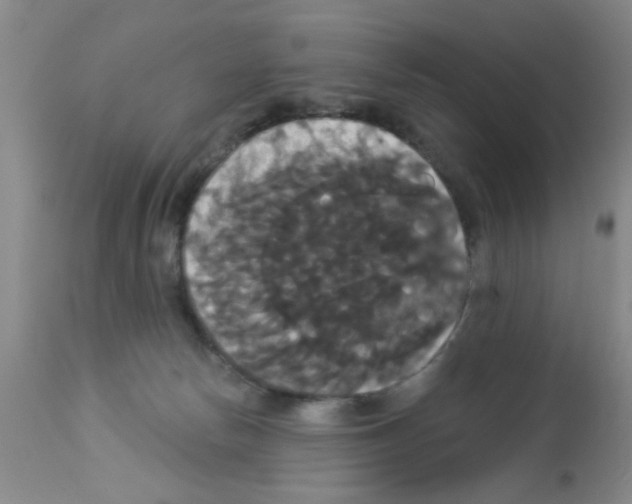 X0000113060178200910091152