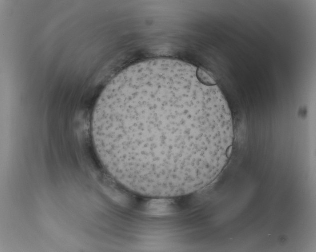 X0000113060179200910091152