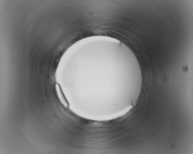 X0000113060180200910091152