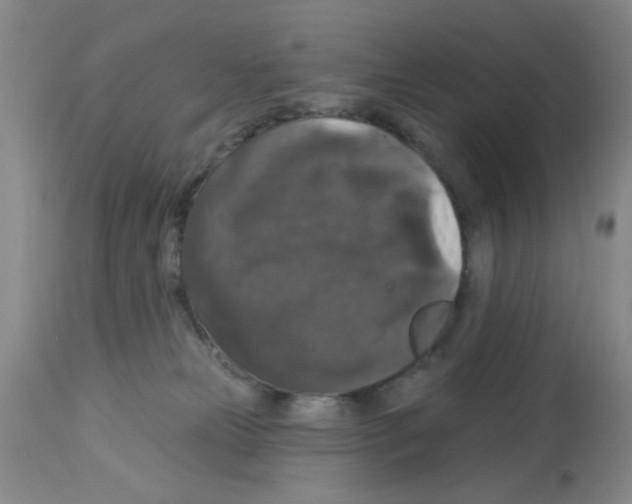 X0000113060181200910091152