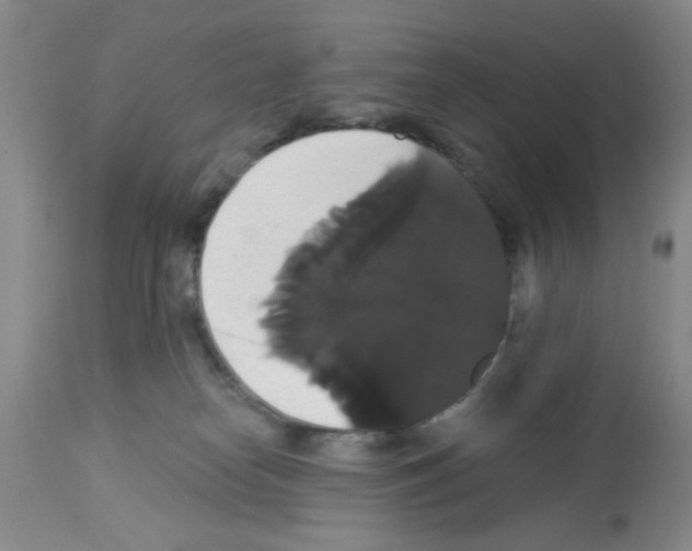 X0000113060182200910091152