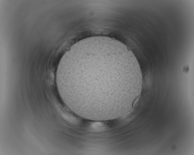 X0000113060183200910091152
