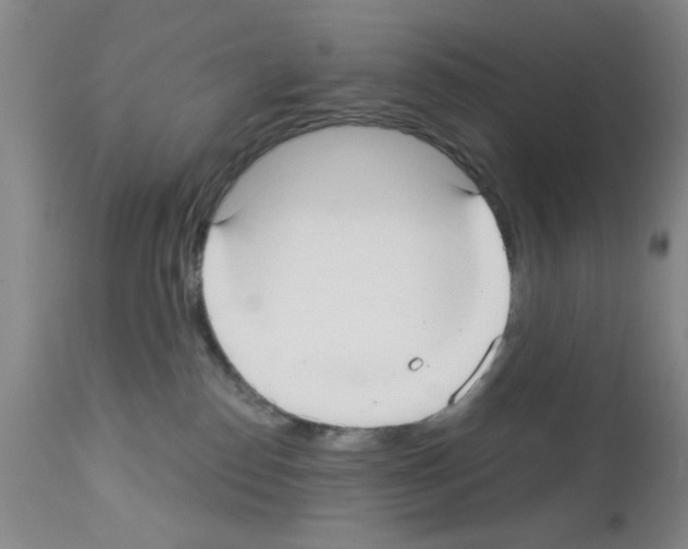 X0000113060186200910091152