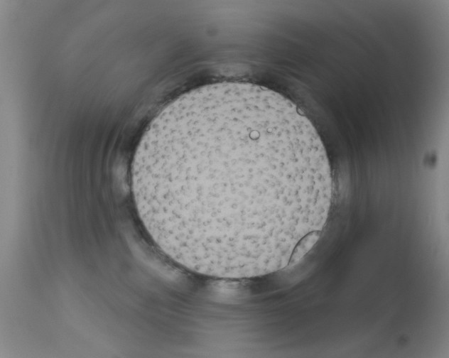 X0000113060187200910091152