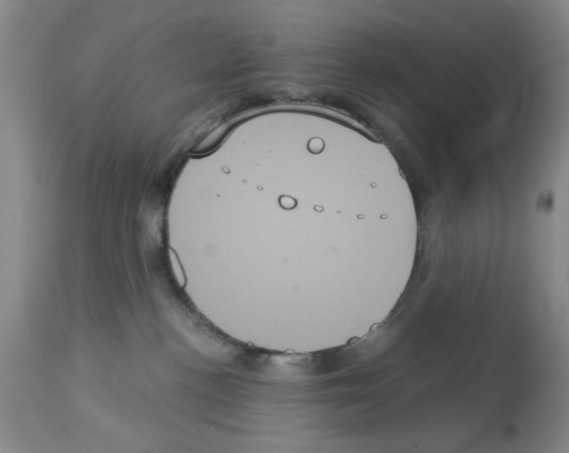 X0000113060188200910091152