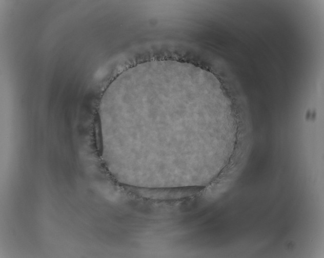 X0000113060192200910091152