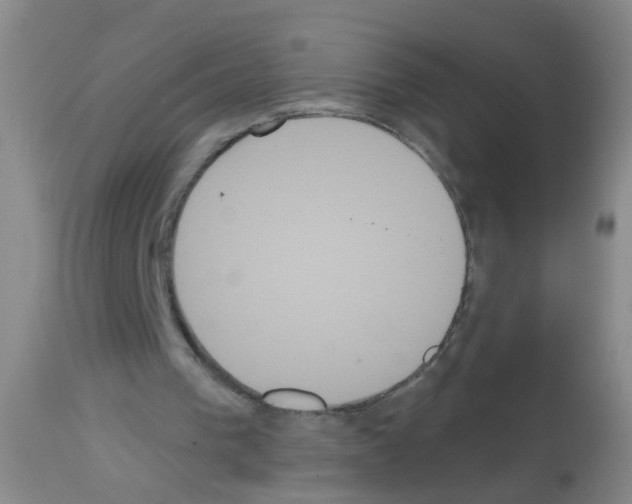 X0000113060193200910091151