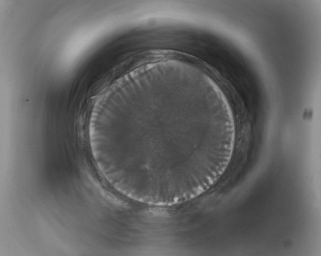 X0000113060194200910091151