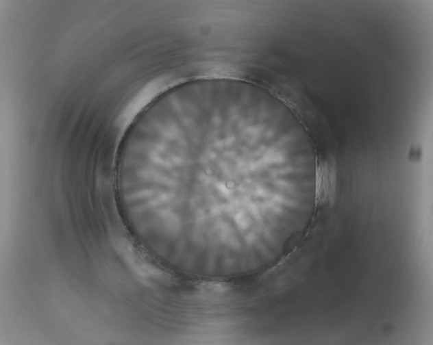 X0000113060195200910091151