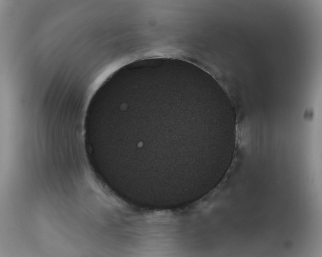 X0000113060196200910091151