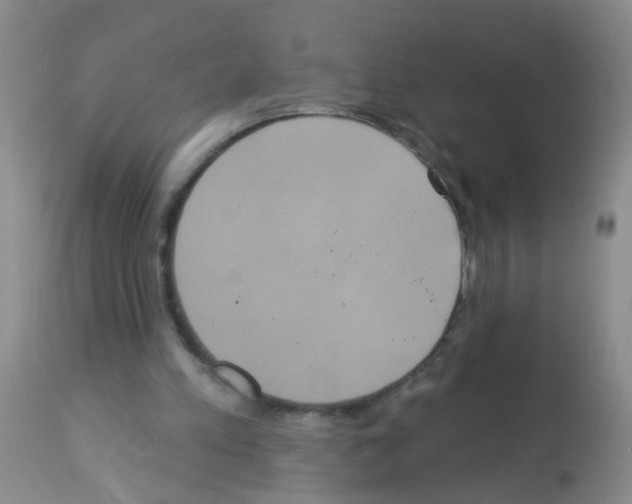 X0000113060197200910091151