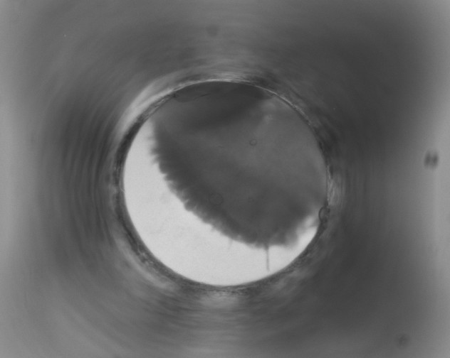 X0000113060198200910091151