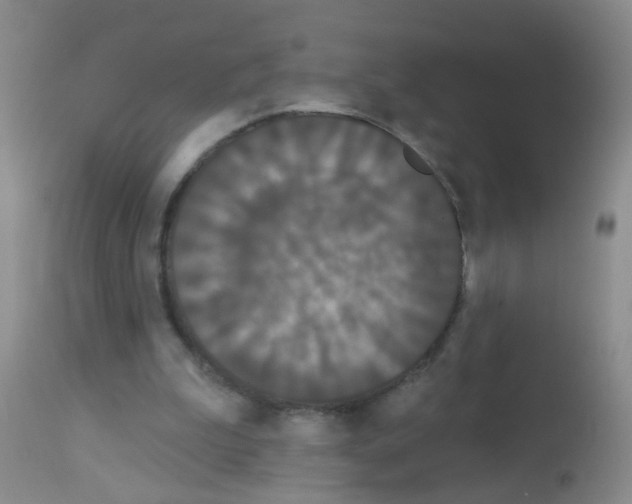 X0000113060199200910091151