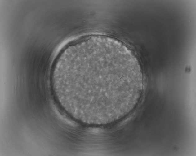 X0000113060200200910091151