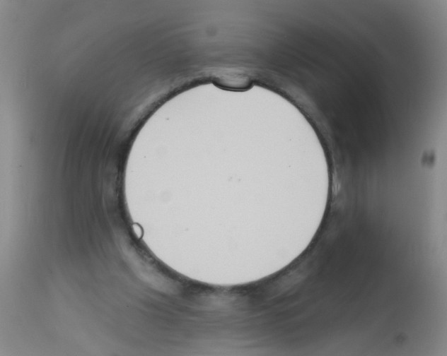X0000113060201200910091151