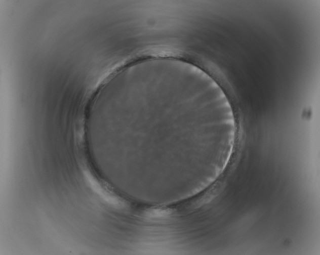 X0000113060202200910091151