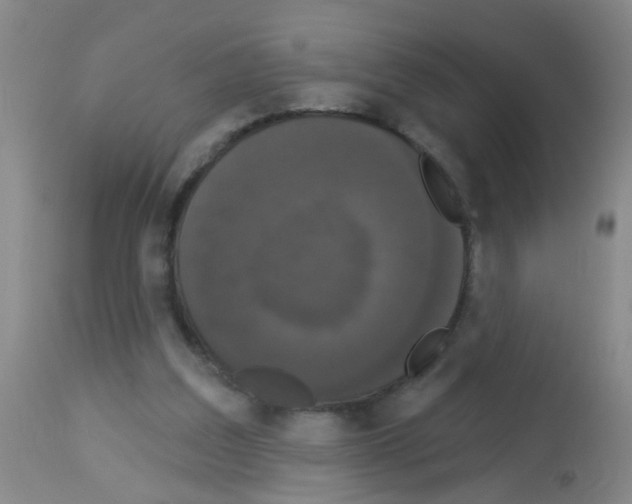 X0000113060203200910091151